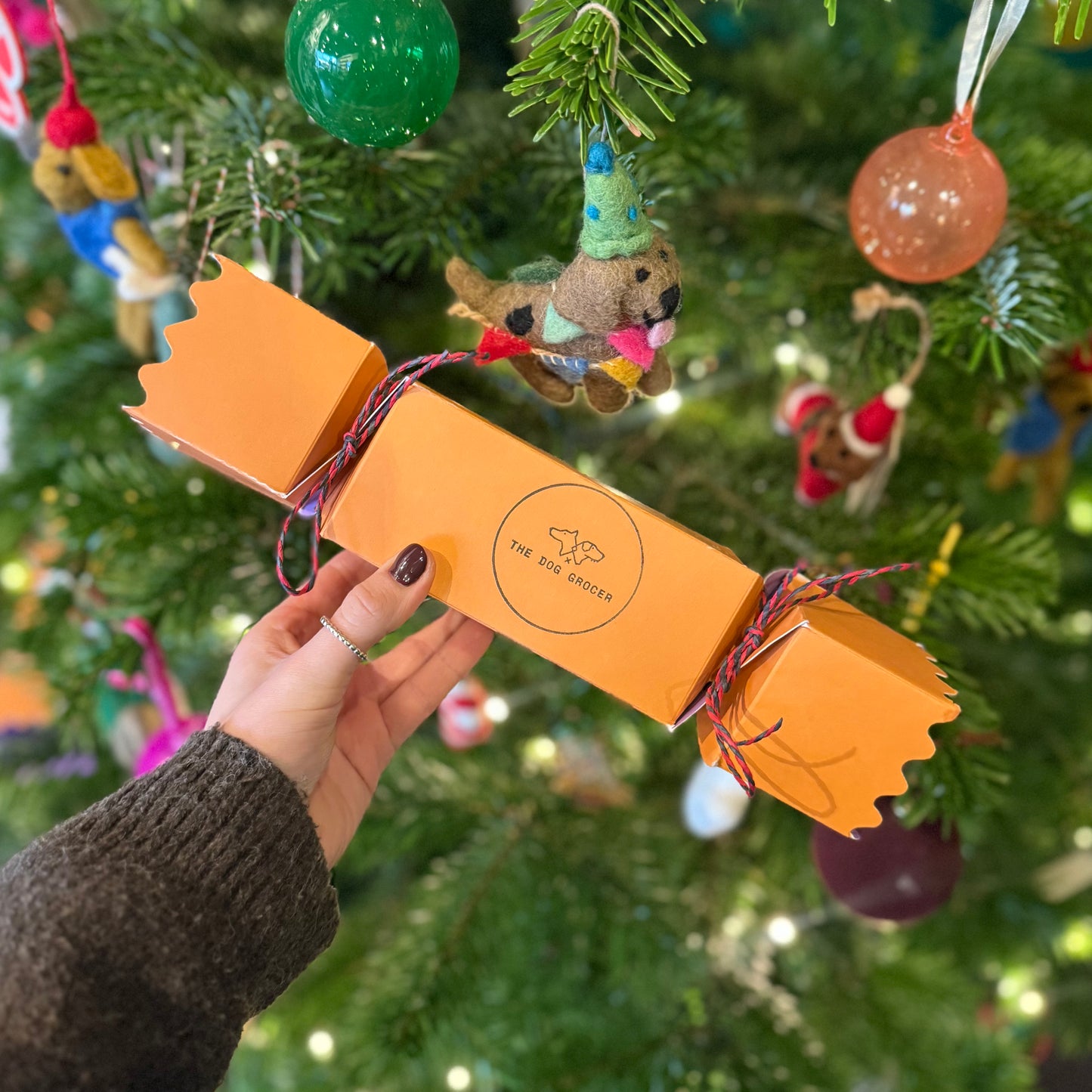 The Dog Grocer Christmas Cracker