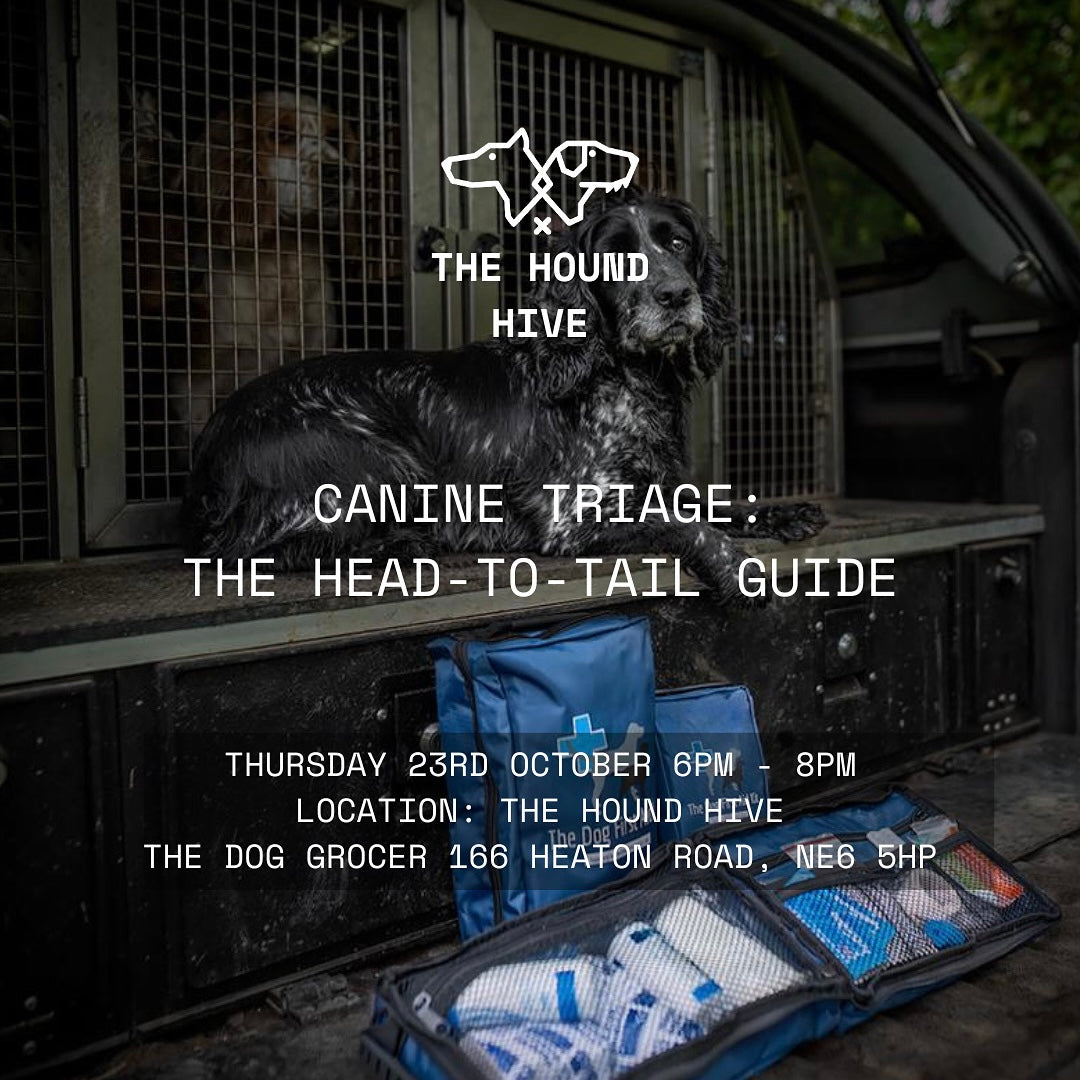 Canine Triage: The Head To Tail Guide