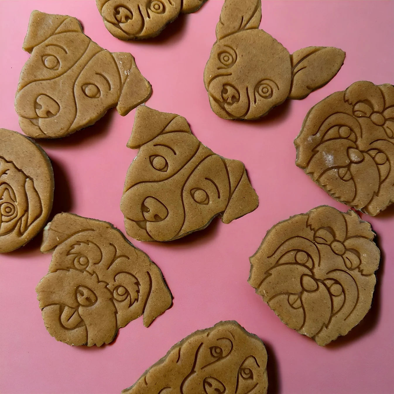 Peanut Butter Breed Biscuit