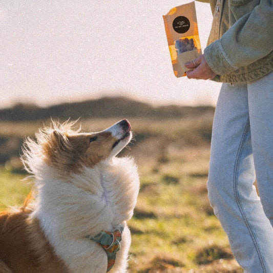 Turkey & Cranberry Sausages