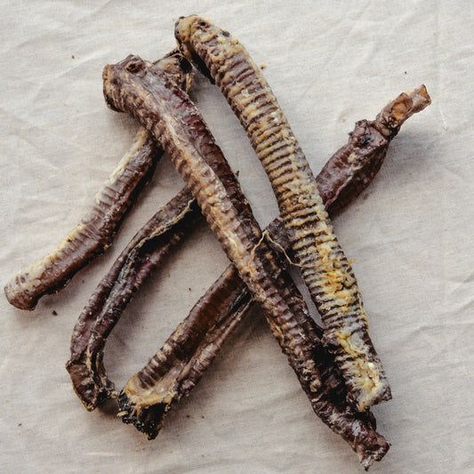 Lamb tube