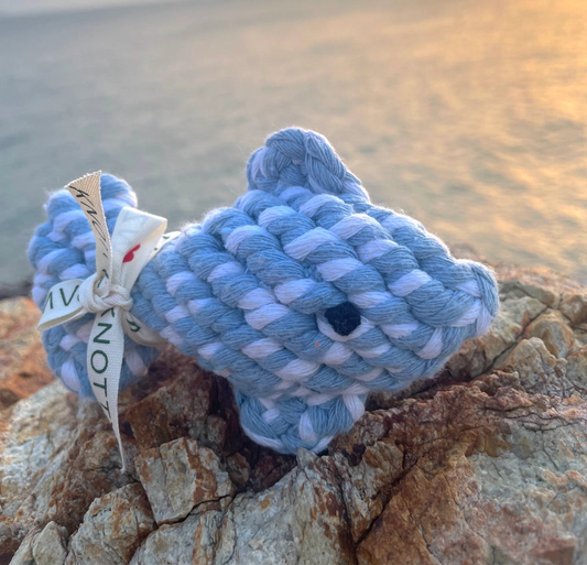 Fish Rope Toy