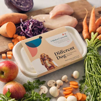 Different Dog Chicken Casserole 600g
