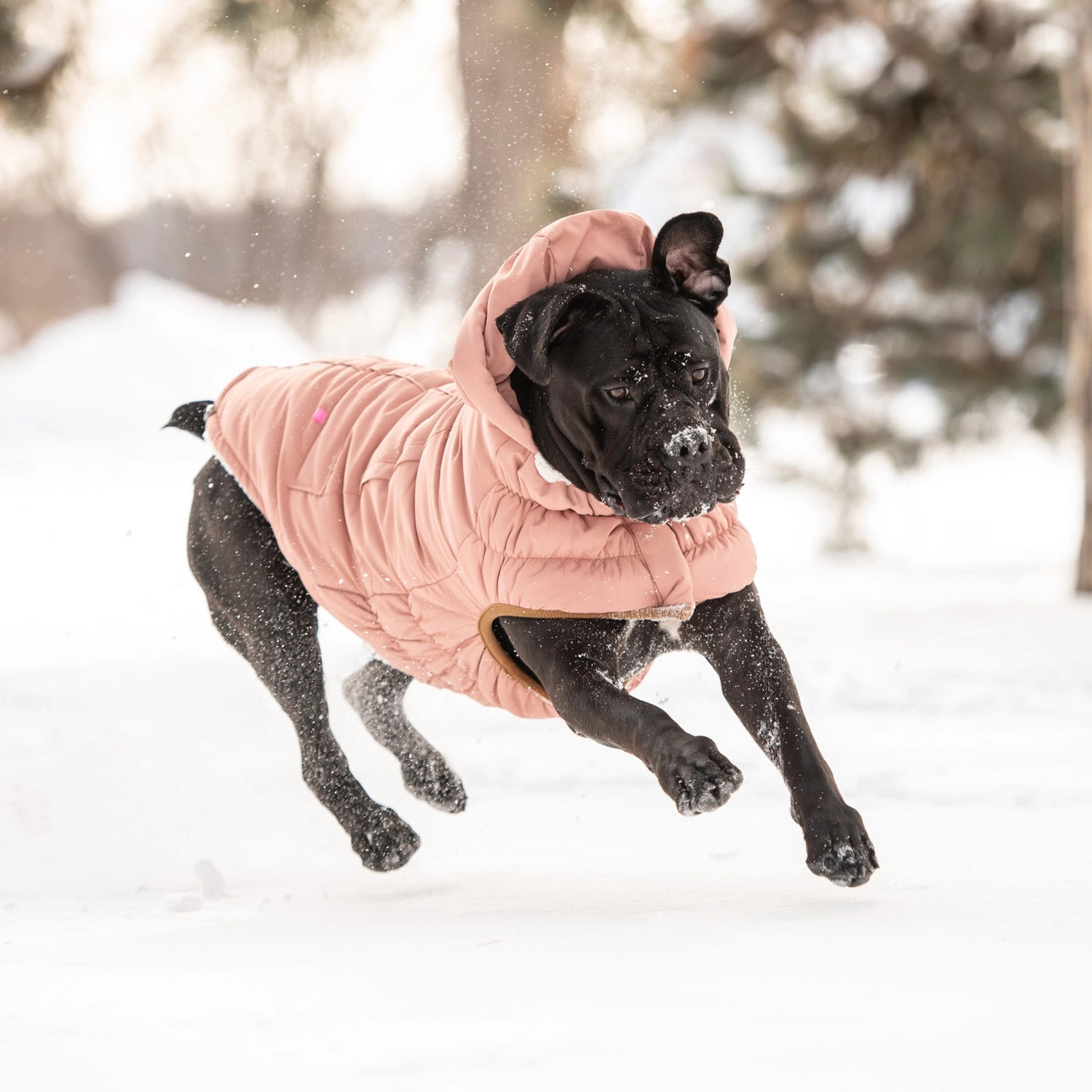 Pink Puffer Jacket