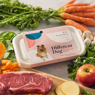Different Dog Braised Beef 600g