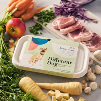 Different Dog Lamb Hotpot 600g