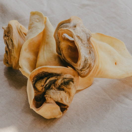 Meaty Cow Ear