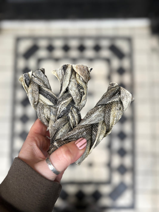 Fish Skin Braid
