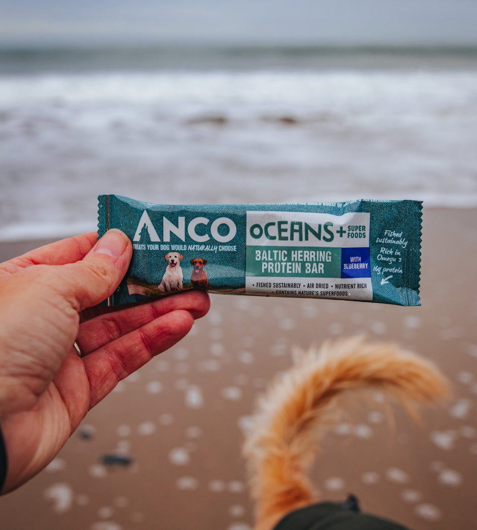Baltic Herring Protein Bar with Blueberry