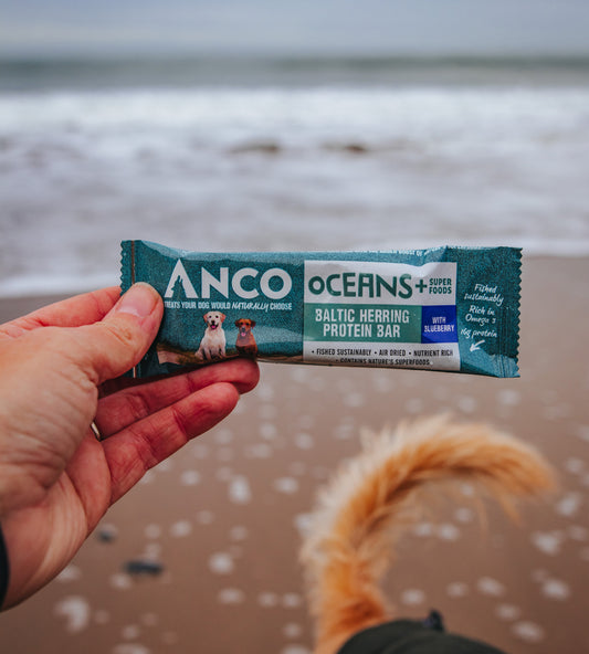 Baltic Herring Protein Bar with Blueberry