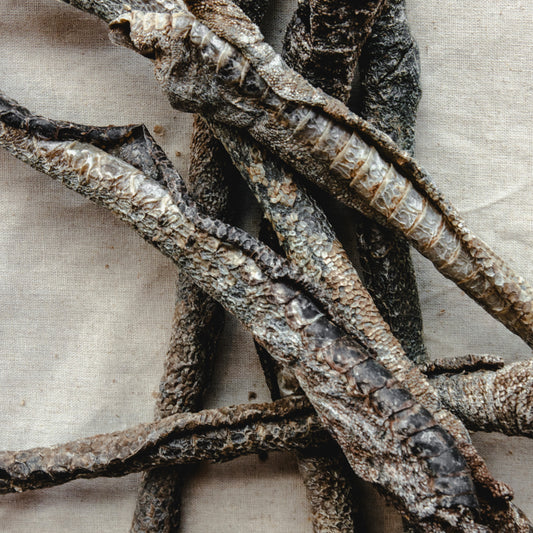 Ostrich Collagen
