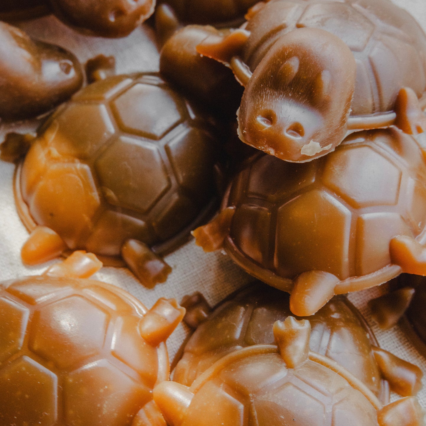 Peanut Butter & Sweet Potato Turtle