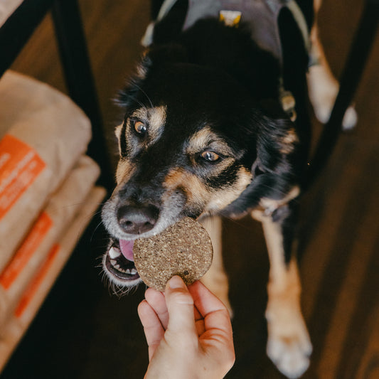 Venison Cookies