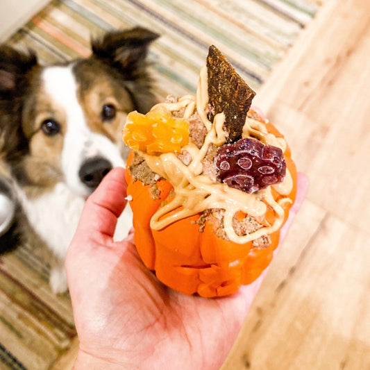 Pumpkin Enrichment Pot