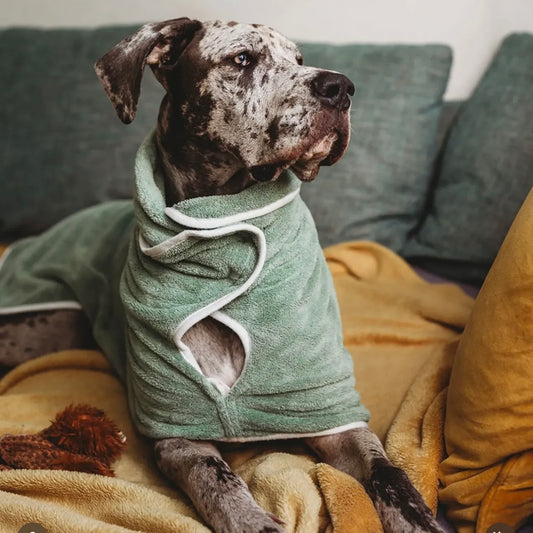 Pastel Pooch Drying Robe Sage