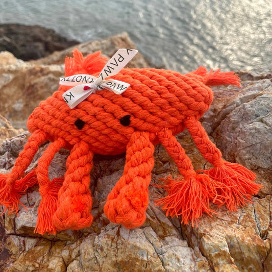 Crab Rope Toy