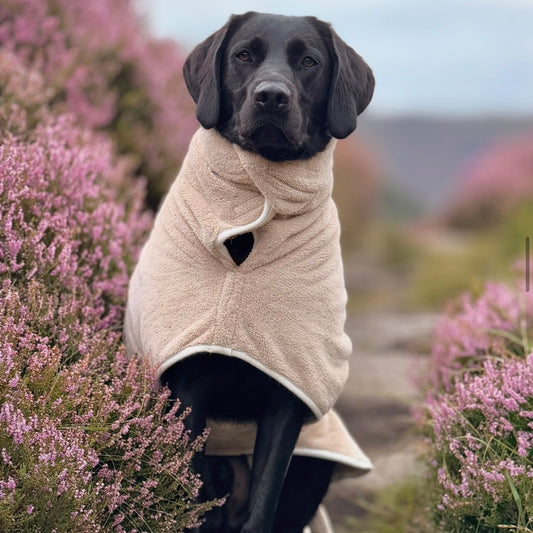 Pastel Pooch Drying Robe Latte