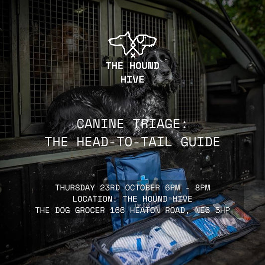 Canine Triage: The Head To Tail Guide