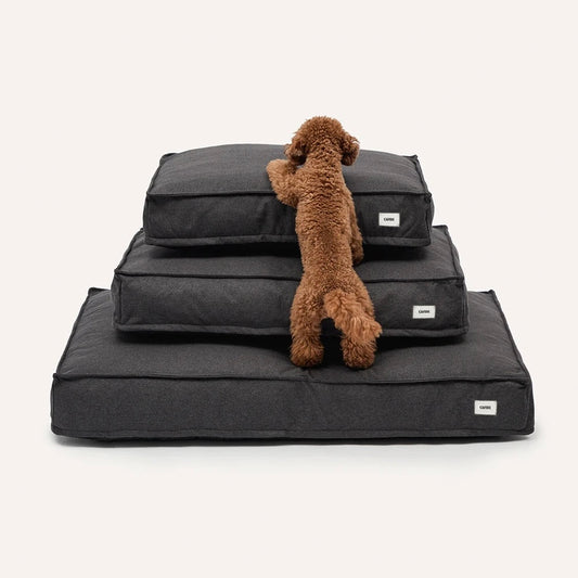 CAFIDE Dog Bed Black