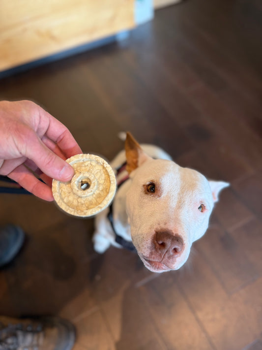Collagen Bagel