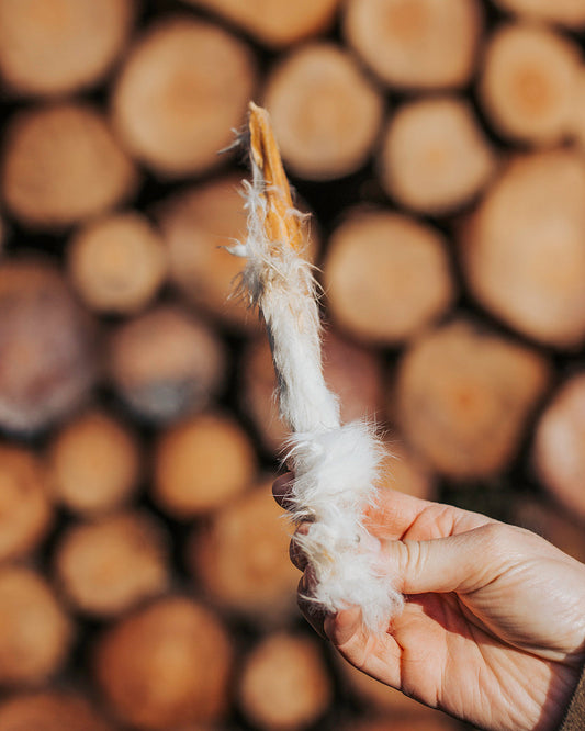 Rabbit Hide Rolls