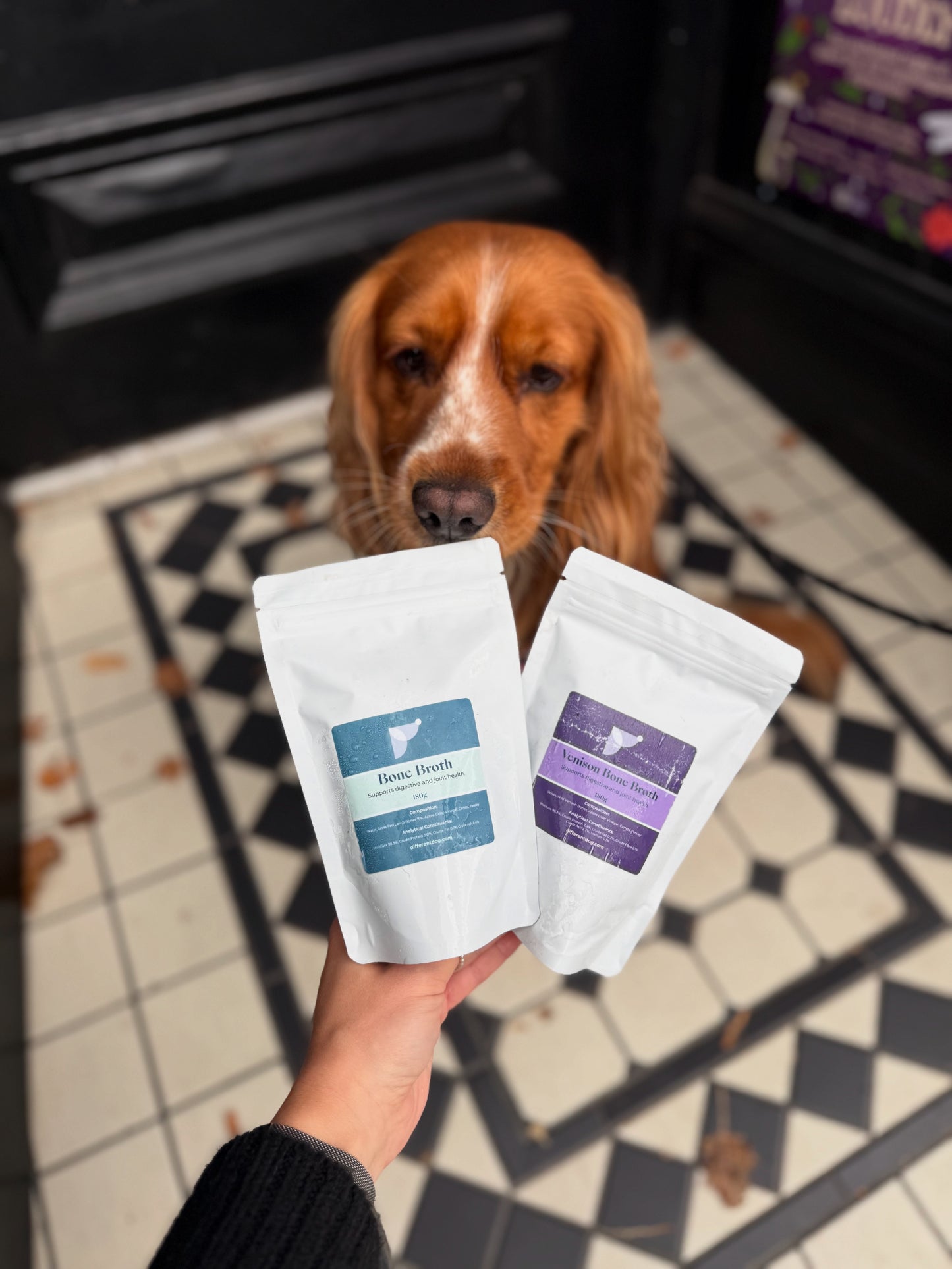 Different Dog Lamb Bone Broth