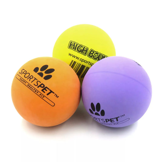 Sportspet High Bounce Ball
