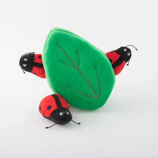Ladybug Enrichment Toy
