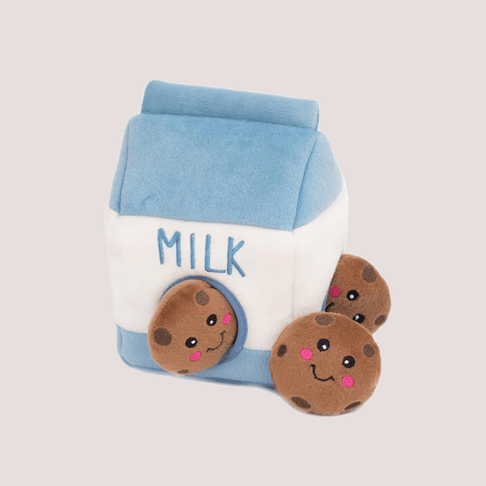 Milk Carton Enrichment Toy