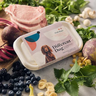 Different Dog Pork Ragu 600g