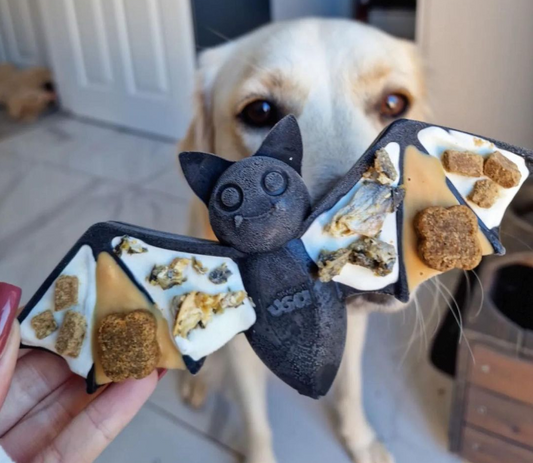 Bat Enrichment Chew