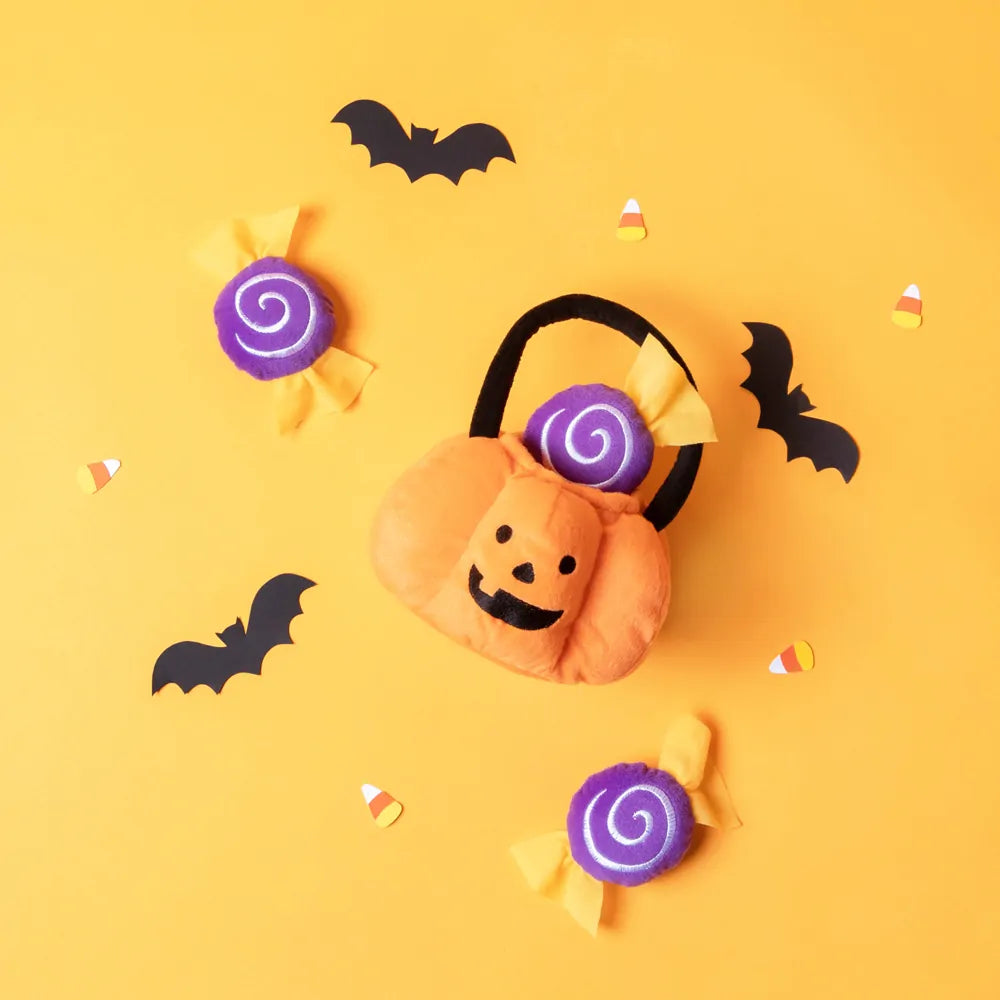 Trick Or Treat Enrichment Toy