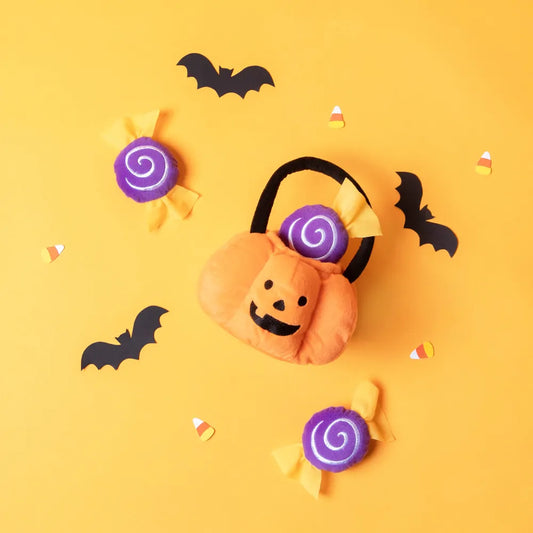 Trick Or Treat Enrichment Toy