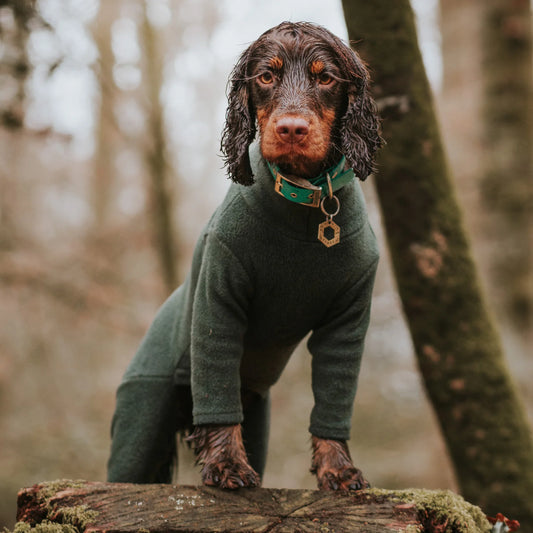 Pawsome Suits 4 Leg Fleece