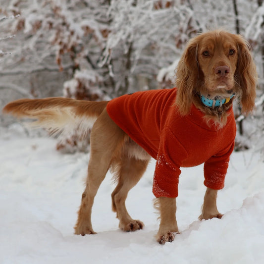 Pawsome Suits 2 Leg Fleece